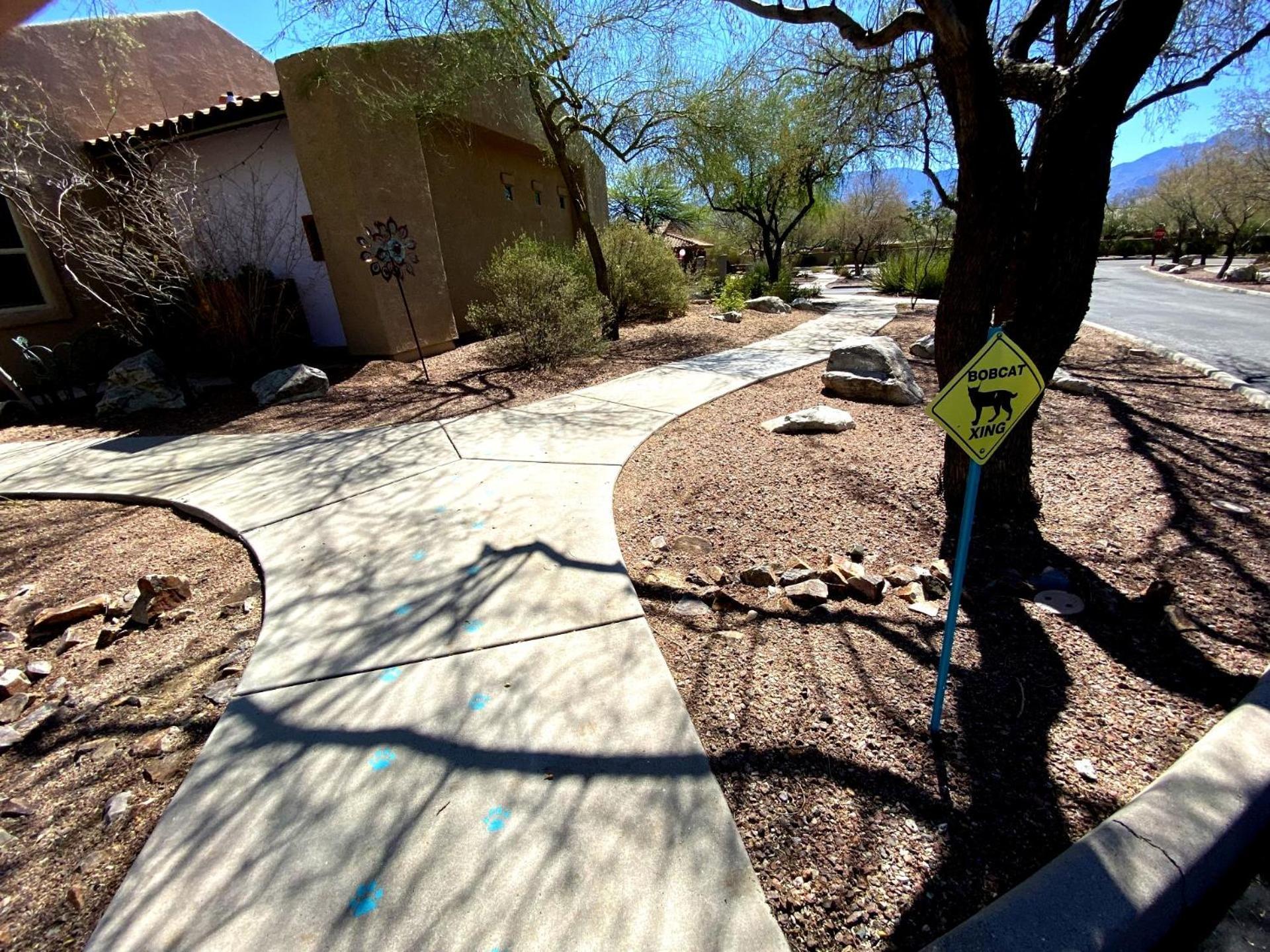 Worldmark Rancho Vistoso Oro Valley Esterno foto